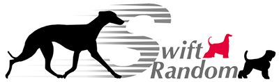 Swift Random Logo